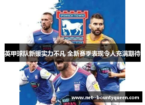 英甲球队新援实力不凡 全新赛季表现令人充满期待
