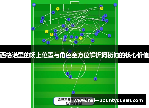 西格诺里的场上位置与角色全方位解析揭秘他的核心价值