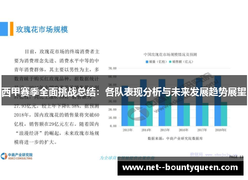 西甲赛季全面挑战总结：各队表现分析与未来发展趋势展望