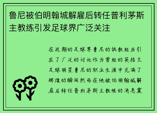 鲁尼被伯明翰城解雇后转任普利茅斯主教练引发足球界广泛关注 鲁尼被伯明翰城解雇后转任普利茅斯主教练引发足球界广泛关注